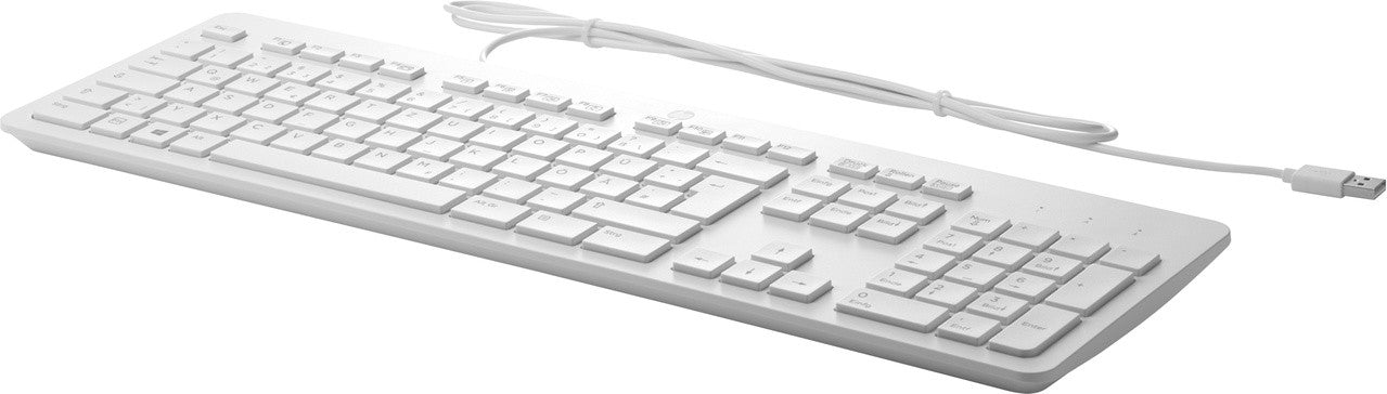 HP USB-Business-Tastatur, flach, grau 911503-L31