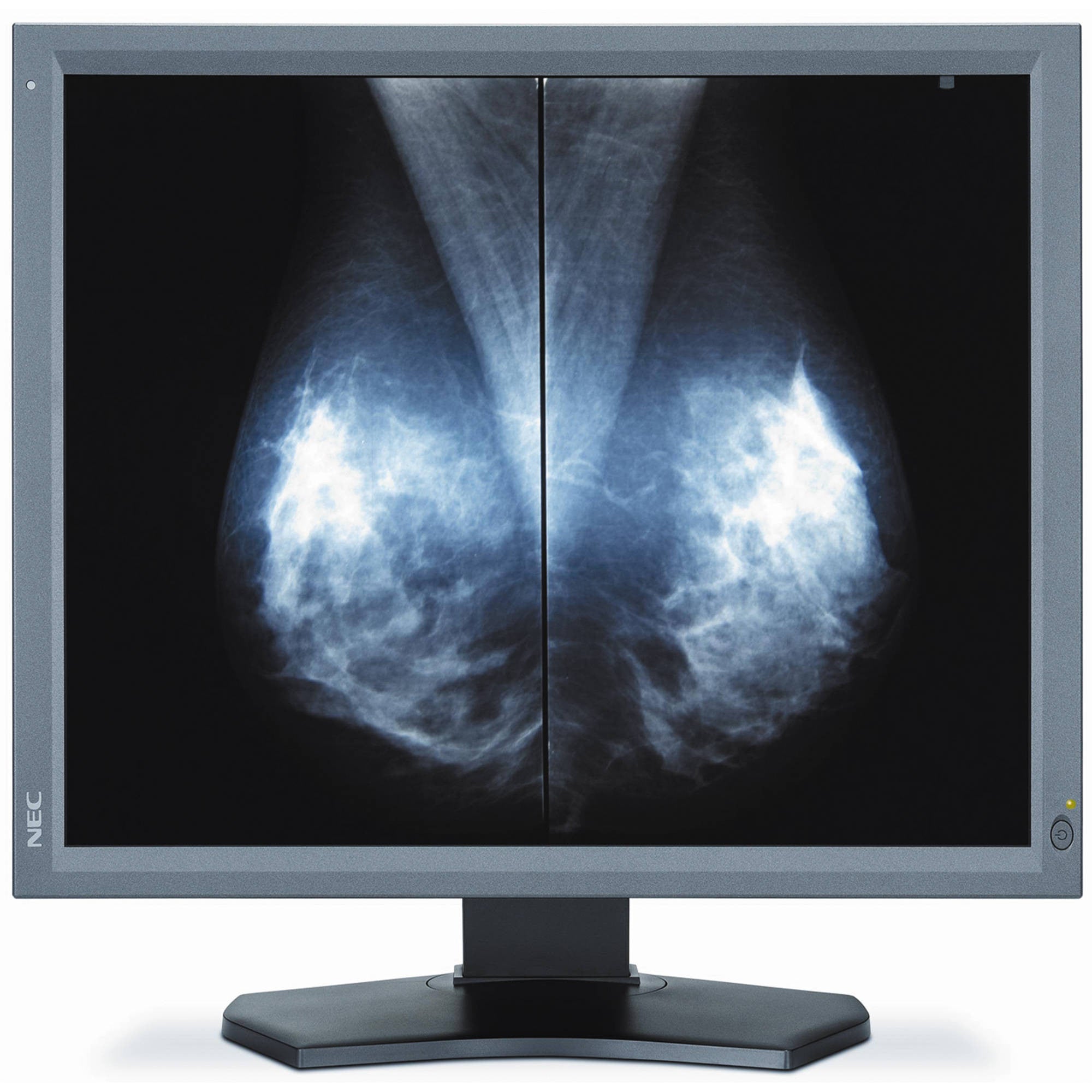 NEC Einzelmonitor MD211G5 Lösung Nicht ein Paar, sondern nur ein Monitor 40000745-QPV01